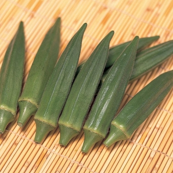 Abelmoschus esculentus (Okra) - 'Jambalaya'