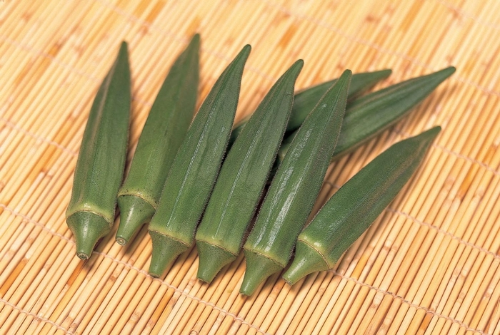 'Jambalaya' - Abelmoschus esculentus (Okra) from Holmquest Farms