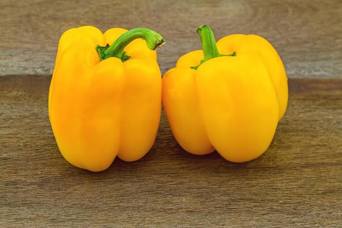 'Golden California Wonder' Bell Pepper - Capsicum annuum from Holmquest Farms